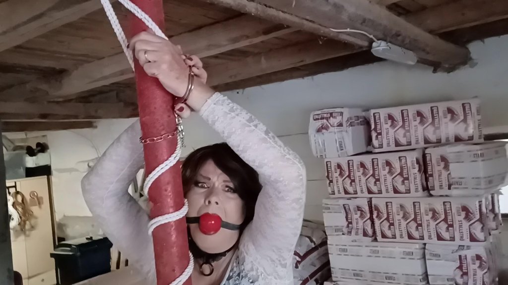 Dizzy Miss Sizzy - Dizzy Miss Sizzy Guest Video - Poletied 2